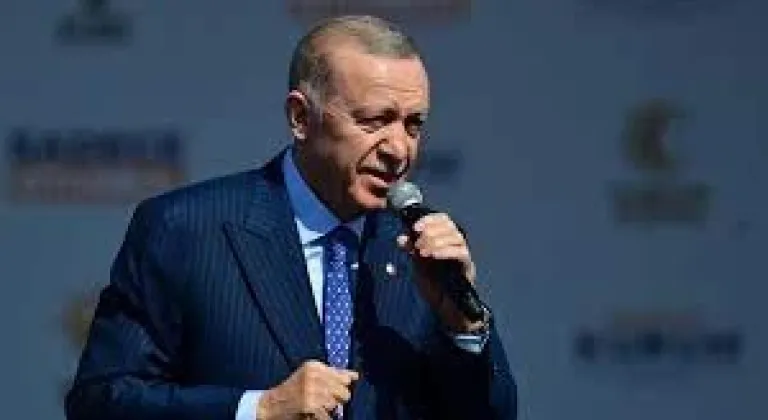 Türkiye'de oy verme işlemi sürerken Erdoğan ve Hollanda Başbakanı arasında telefon görüşmesi
